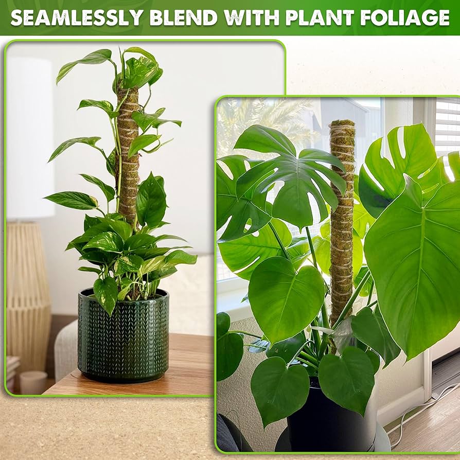 Amazon.com : DUSPRO Natural Stackable Moss Pole for Plants
